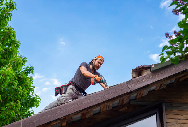 Best Asphalt Shingles Roofing  in Yeadon, PA